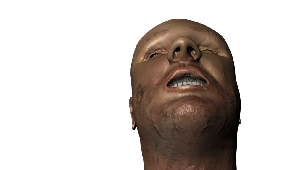 3D Head