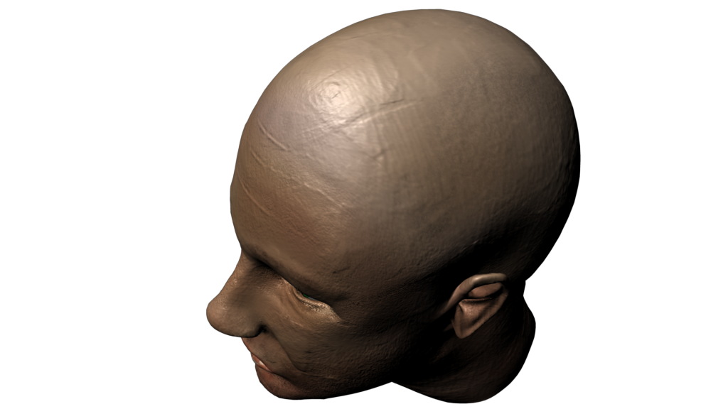 3D Head